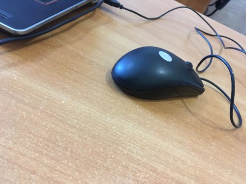 Фото Миша Logitech B110 Optical USB Mouse (910-005508) від користувача mihail98