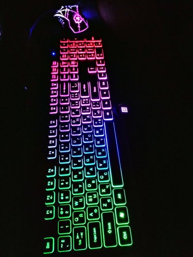Фото Клавіатура REAL-EL Comfort 8000 Backlit Black USB (EL123100033) від користувача ІгорM