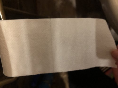 Фото туалетний папір Ніжний дотик Туалетная бумага двухслойная (4823019011074) від користувача Iryna