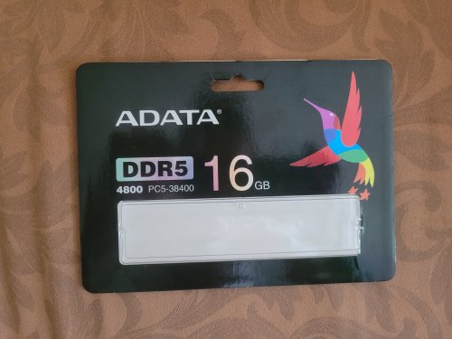 Фото Пам'ять для настільних комп'ютерів ADATA 16 GB DDR5 4800 MHz (AD5U480016G-R) від користувача Ваня