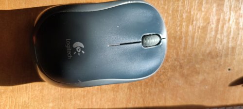 Фото Миша Logitech M185 Wireless Mouse Grey (910-002235, 910-002238, 910-002252) від користувача Serhii