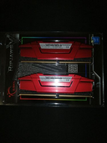 Фото Пам'ять для настільних комп'ютерів G.Skill 16 GB (2x8GB) DDR4 3600 MHz Ripjaws V (F4-3600C19D-16GVRB) від користувача Meadow