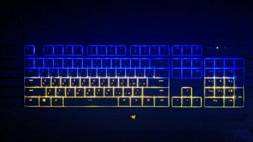 Фото Клавіатура Razer Cynosa Lite Chroma (RZ03-02741500-R3R1) від користувача SILENCE