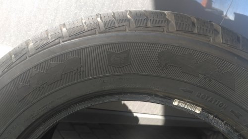 Фото Зимові шини General Tire Grabber Arctic (225/65R17 106T) від користувача Ihor R