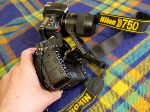 Фото Дзеркальний фотоапарат Nikon D750 body (VBA420AE) від користувача Євгеній Косюк