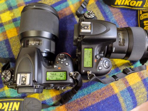 Фото Дзеркальний фотоапарат Nikon D750 body (VBA420AE) від користувача Євгеній Косюк