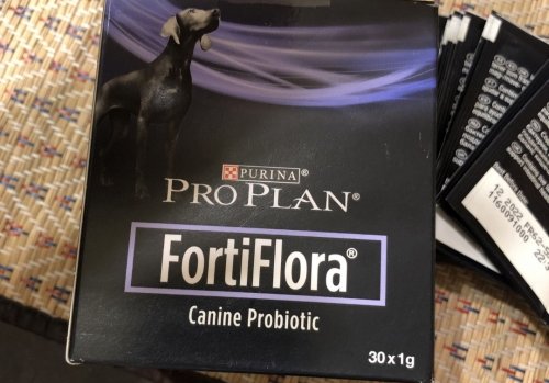 Фото Пробіотик Pro Plan FortiFlora Canine Probiotic 30 шт по 1 г (8445290041074) від користувача Mexanik
