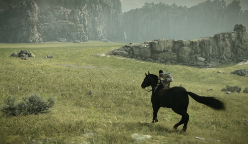 Фото Гра для PS4  Shadow of the Colossus PS4 від користувача Andrei Gol