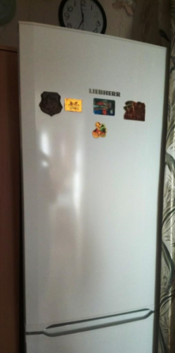 Фото Холодильник з морозильною камерою Liebherr CU 3331 від користувача alex schneider