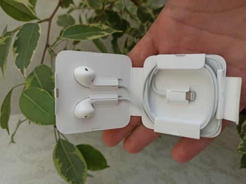 Фото Навушники з мікрофоном Apple EarPods with Lightning Connector (MMTN2) від користувача Mexanik