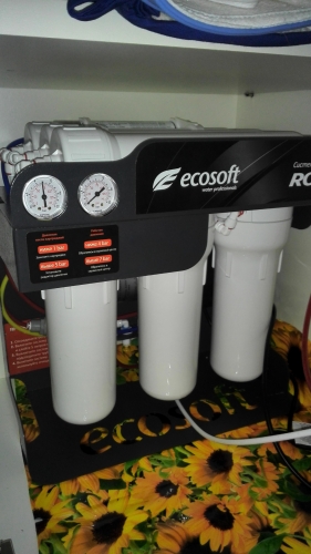 Фото Фільтр для питної води з системою зворотного осмосу Ecosoft RObust 1000 від користувача tr2sh