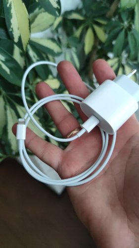 Фото Кабель Lightning Apple USB-C to Lightning Cable 1m (MK0X2) від користувача Mexanik