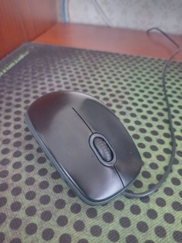 Фото Миша Logitech B110 Optical USB Mouse (910-005508) від користувача Григорій Піртахія