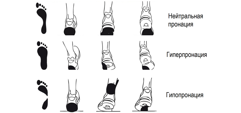 Как выбрать кроссовки для бега #2 - фото в блоге (гиде покупателя) hotline.ua
