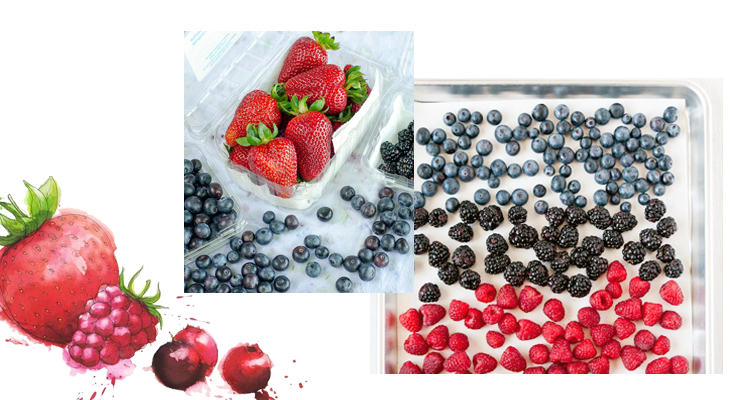 Как правильно хранить продукты в холодильнике #4 - фото в блоге (гиде покупателя) hotline.ua