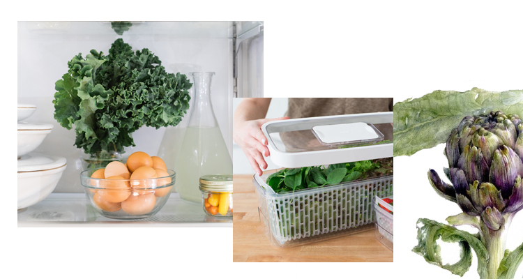 Как правильно хранить продукты в холодильнике #5 - фото в блоге (гиде покупателя) hotline.ua