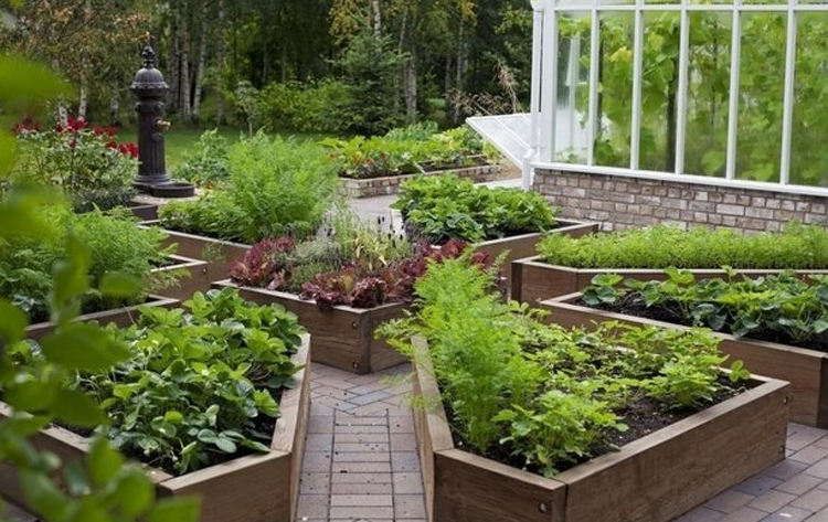 Как правильно оформить сад на дачном участке: растения, ландшафтный дизайн и идеи декора