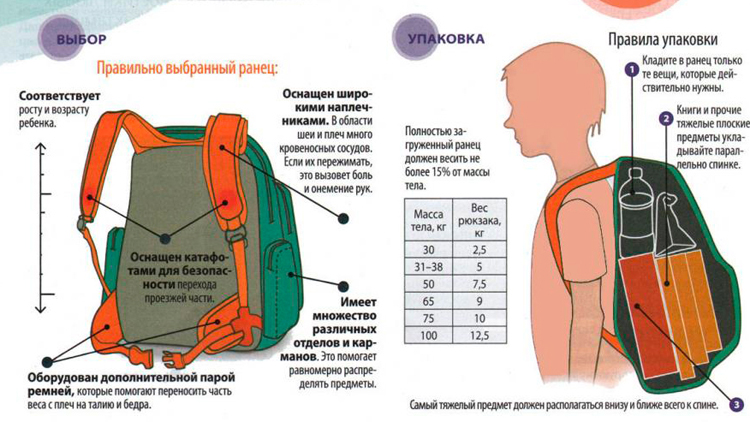 Как выбрать школьный ранец #5 - фото в блоге (гиде покупателя) hotline.ua