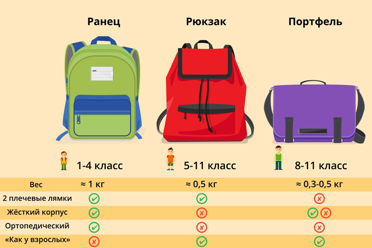 Какие виды школьных рюкзаков существуют и что такое ортопедический ранец?