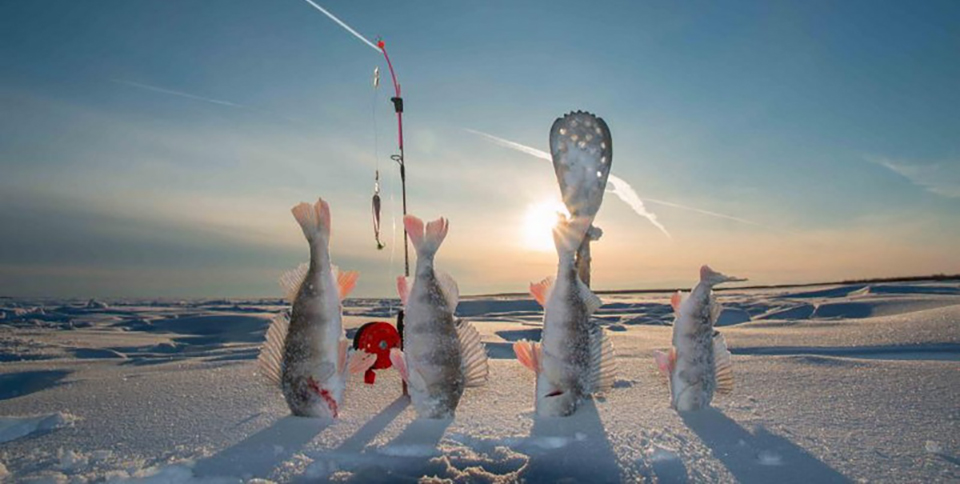 Как подготовиться к зимней рыбалке #8 - фото в блоге (гиде покупателя) hotline.ua