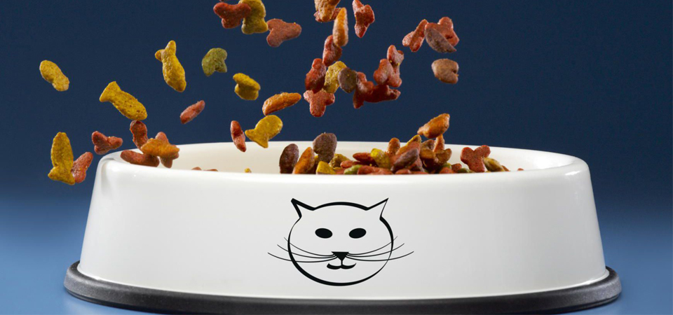 Как выбрать корм для кошек #7 - фото в блоге (гиде покупателя) hotline.ua