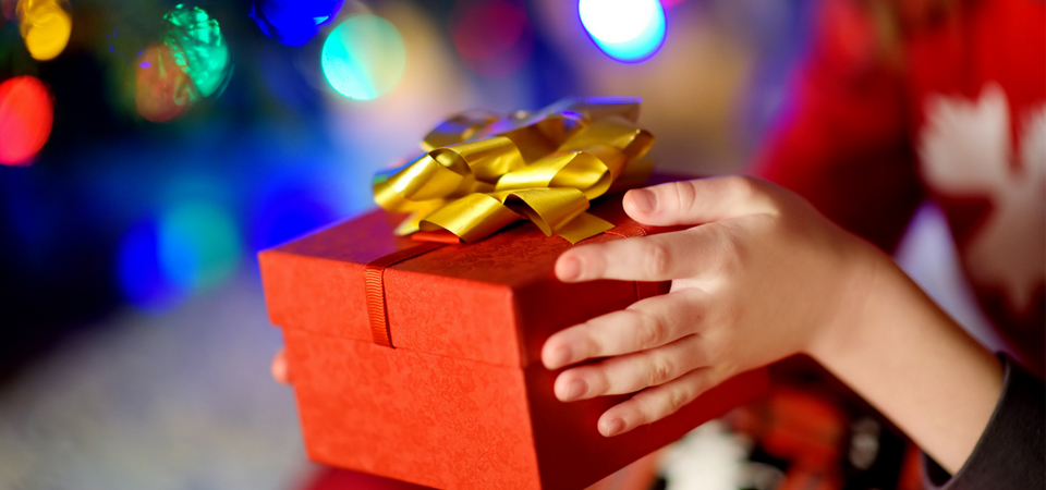 Новорічні свята: ТОП-5 дитячих подарунків для дівчаток #1 - фото в блоге (гиде покупателя) hotline.ua