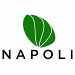 Логотип інтернет-магазина Napoli.UA