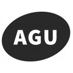 Логотип інтернет-магазина Агусик