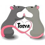 Логотип інтернет-магазина Tosya