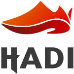 Логотип інтернет-магазина Hadi
